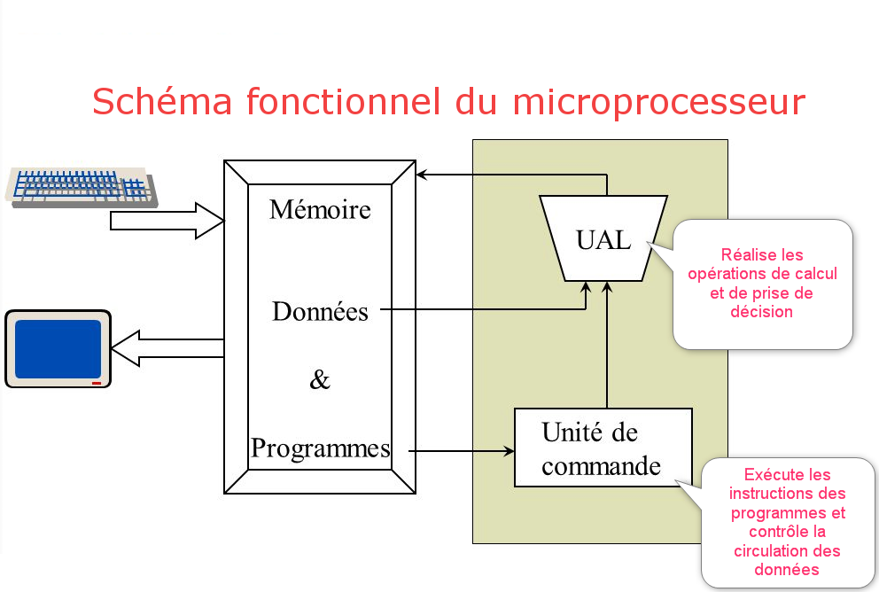 entrée des informations